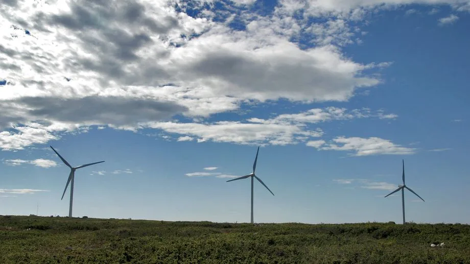 EDF Renouvelable condamnée puis relaxée après la mort d'oiseaux protégés dans un parc éolien de l'Hérault