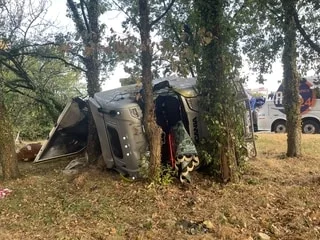 Un camion transportant des bovins se renverse dans un rond-point, plusieurs animaux décédés