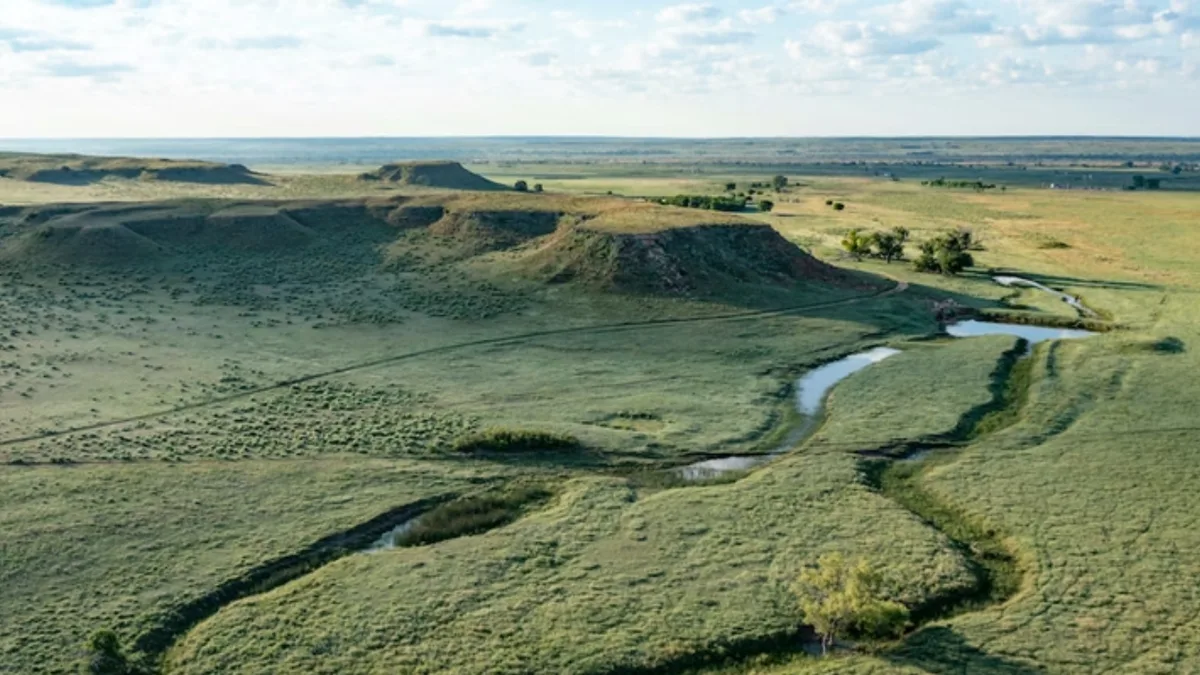 Texas ranch hit by 2024 wildfire returns to market for $180 million