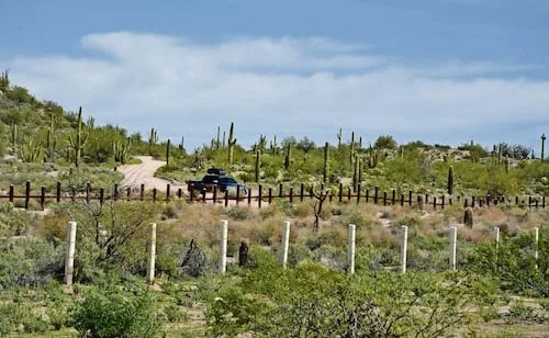 EU retoma construcción de muro fronterizo entre Arizona y México; continúa pese a protestas de la Nación Tohono O’odham