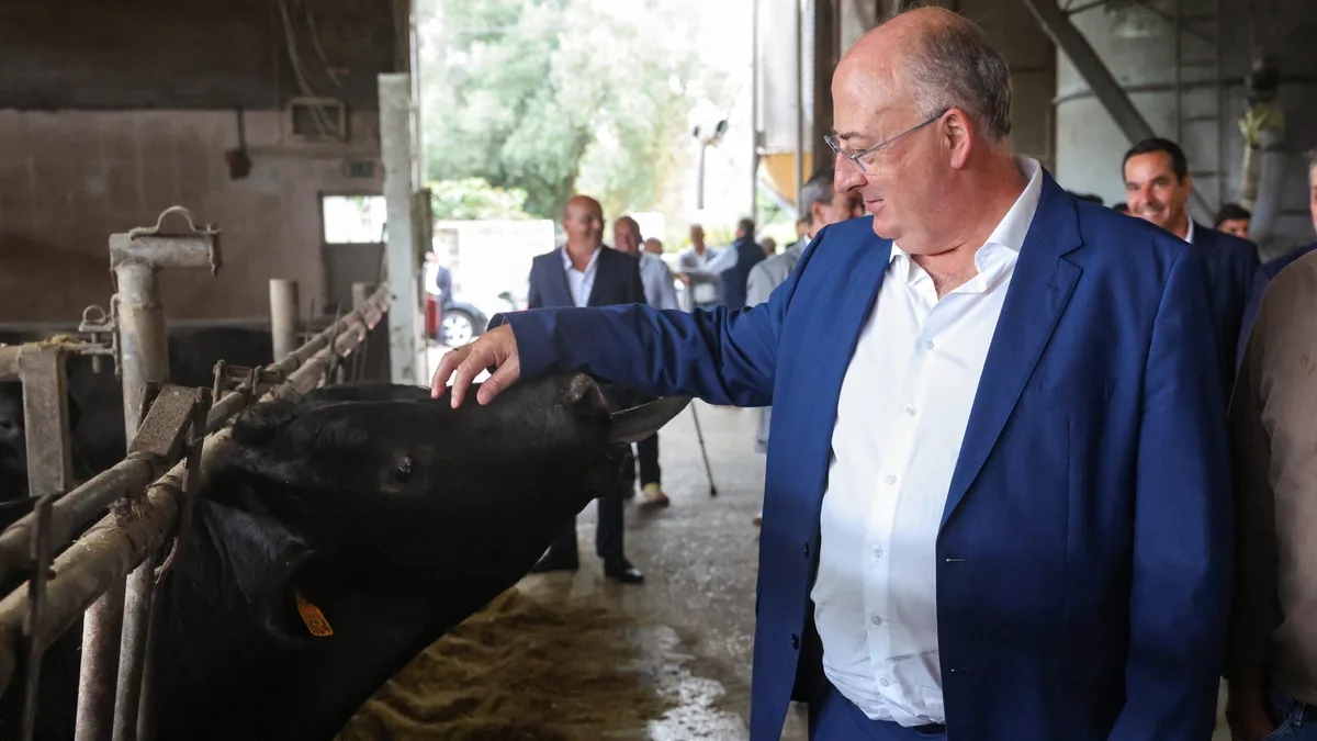 Apoio de 30 milhões para energia e fertilizantes “integralmente pago” a agricultores e pescadores