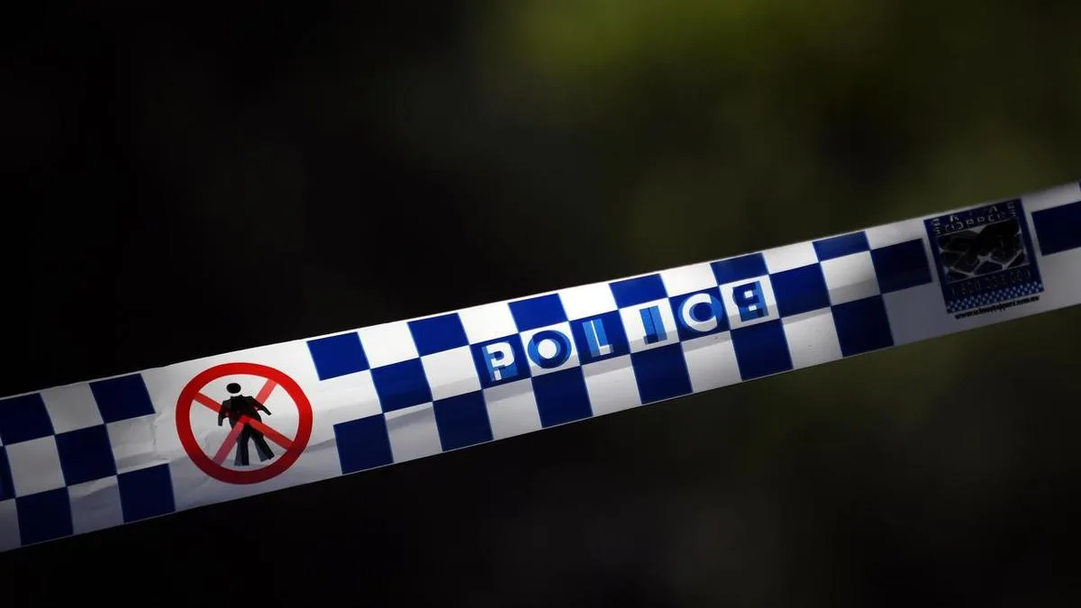 Two men dead after light plane crashes in paddock