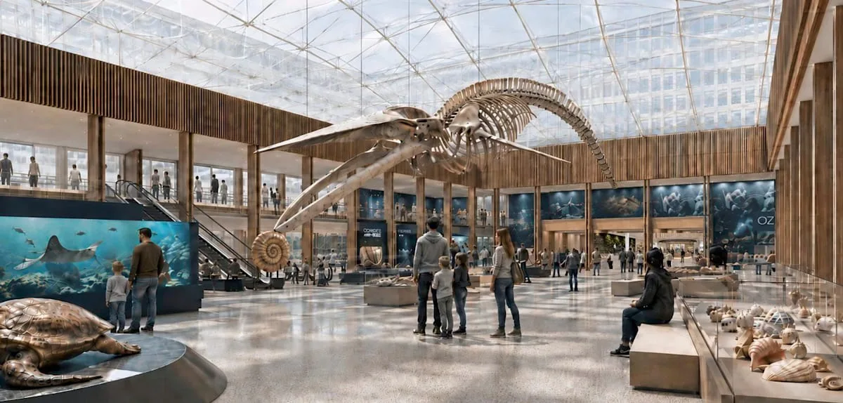 „Ein Naturkundemuseum ist kein Luxus für Hamburg“