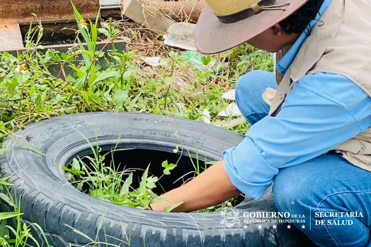 Dengue cobra su cuarta víctima en Honduras y enciende las alertas en el Distrito Central