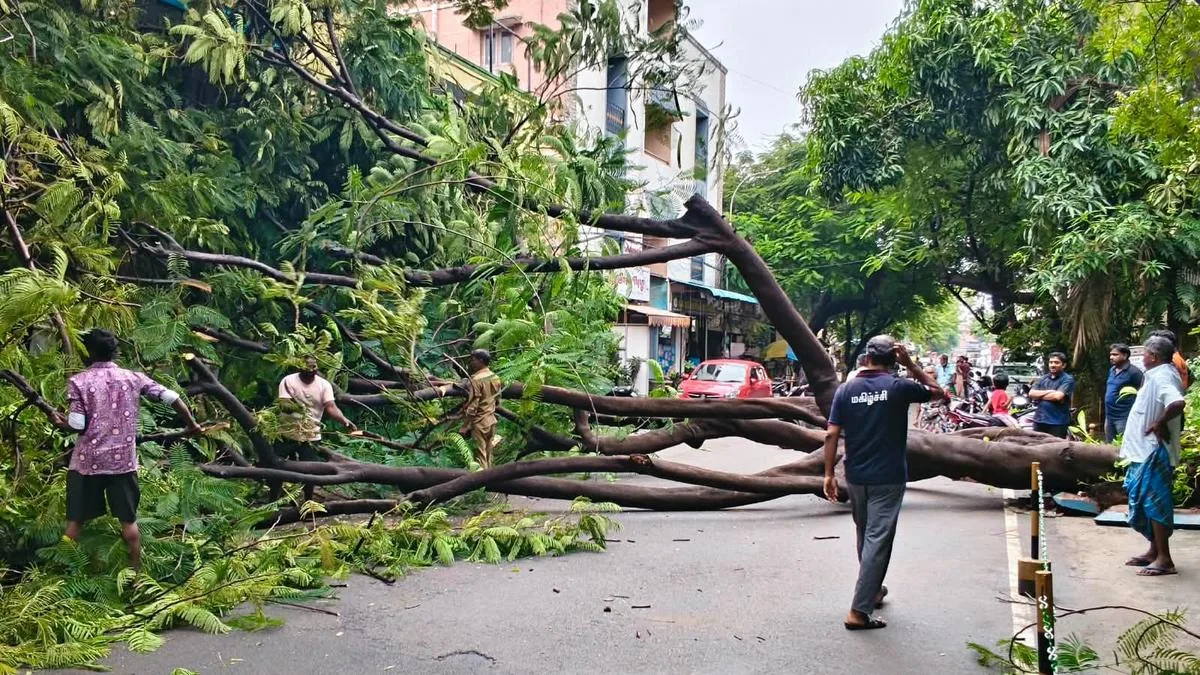 Few localities in west Velachery flooded due to heavy rain