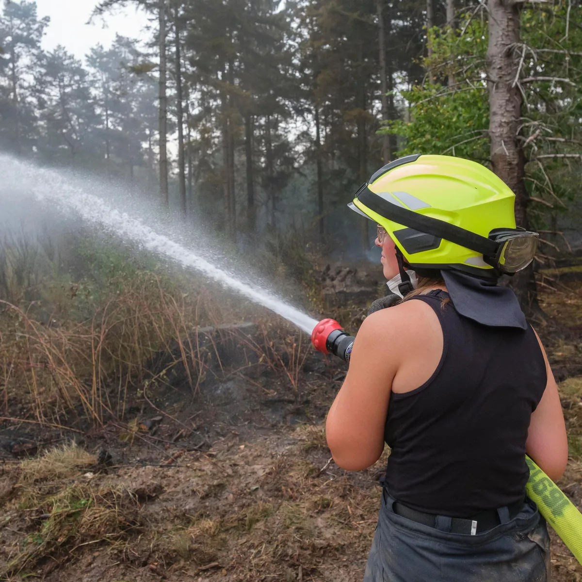 Bilanz nach Waldbrand - NRW-Ministerium: 339 Hektar im Hürtgenwald verbrannt