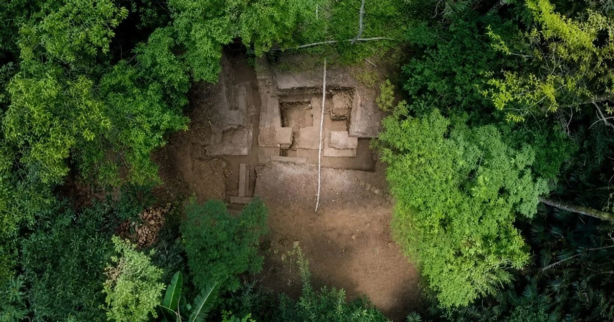 Pesquisando na página 16 do Google, estudante encontra estudo ambiental antigo e surpreende ao revelar uma cidade maia escondida sob a floresta do México