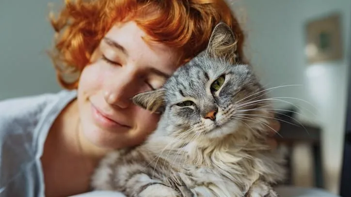 Manuel Manzano, veterinario: "Cuando un gato se acerca y frota su cuello contra tus manos, no te pide caricias"