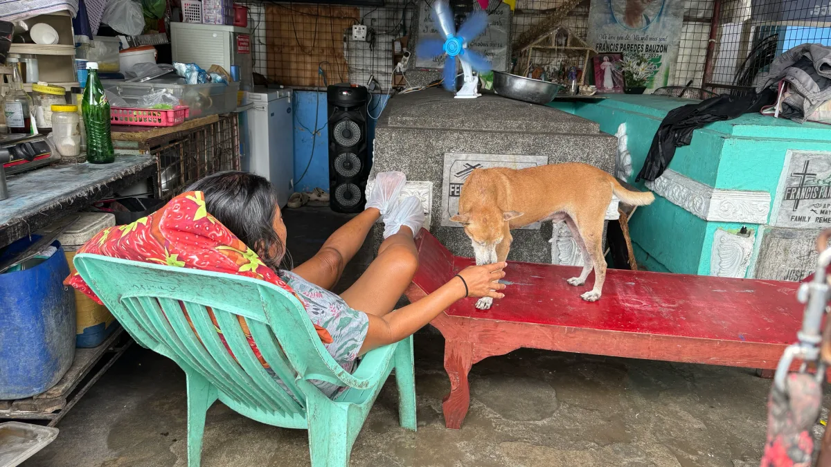Philippinen: „Komm, Bro, ich zeige dir den lebendigsten Friedhof der Welt“