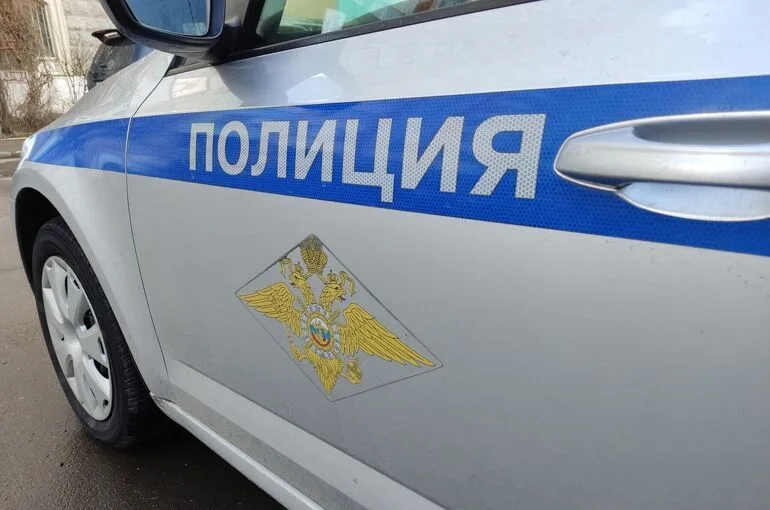 В программу обучения полицейских добавят беспилотные мишени