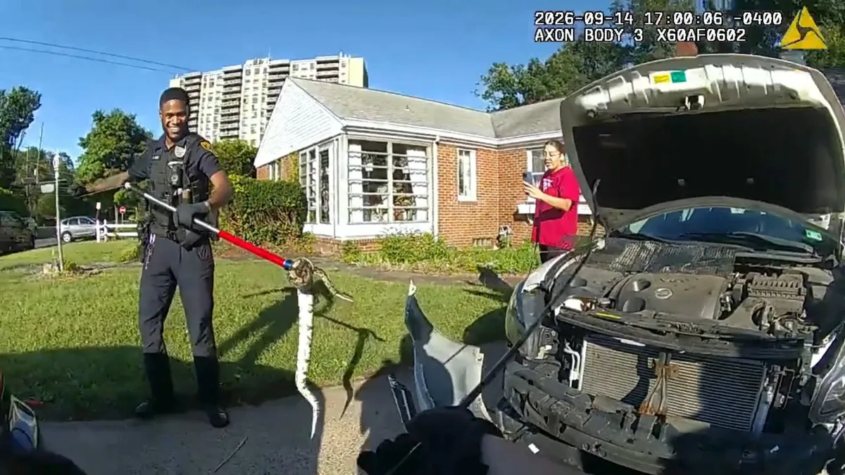 Insólito hallazgo en Nueva Jersey: encontraron una serpiente atrapada dentro de un auto