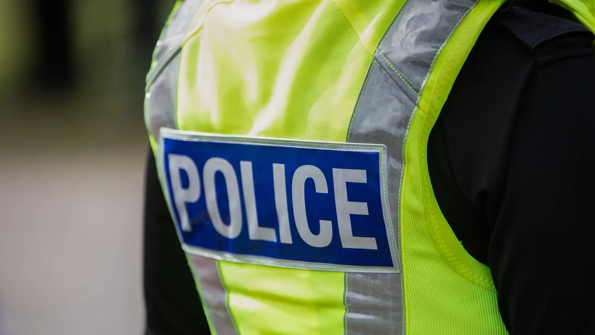 Man dies in crash after pursuit involving police car
