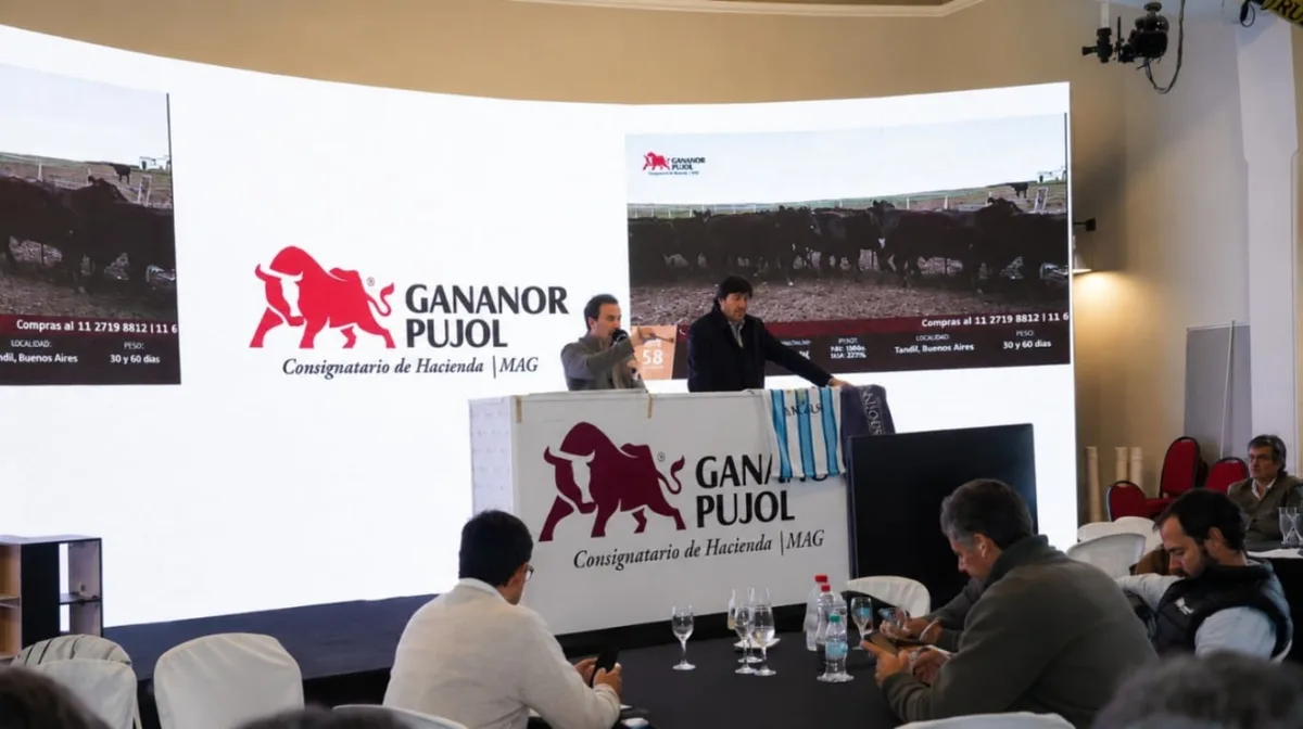 Gran remate de hacienda en pleno centro porteño: más de 13.000 ejemplares ganaderos y créditos clave