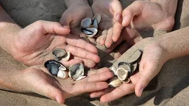 Muscheln, Steine oder Sand: Diese Souvenirs sind verboten