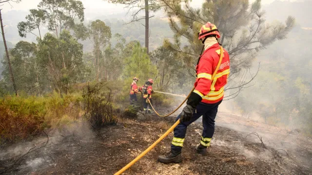 Dominado incêndio em Santo Tirso: "Pouca intensidade"