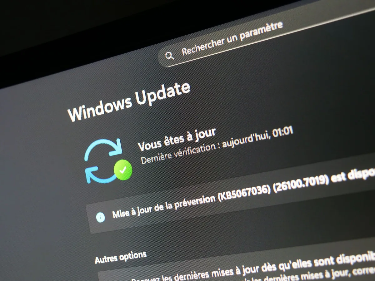 Windows 11 : la mise à jour qui devait tout arranger casserait curseurs et fonds d'écran