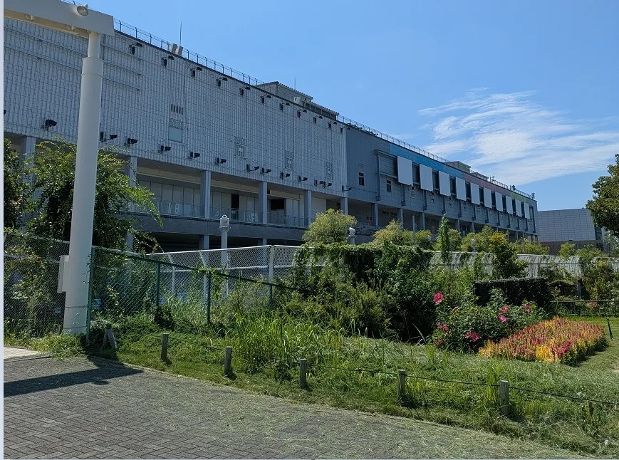 Is Tokyo’s Odaiba, once one of its trendiest neighborhoods, becoming a ghost town? [Photos]