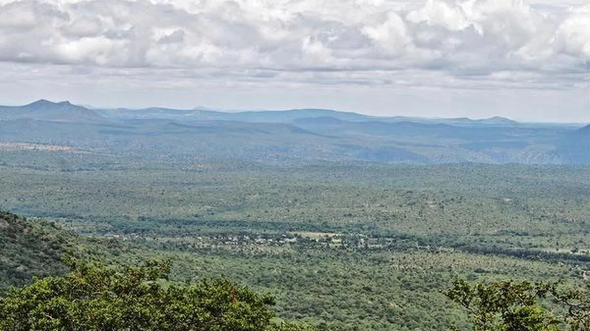 Climate change destabilising Western Ghats’ forest ecosystems in Nilgiri Biosphere Reserve, warn researchers