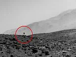 Mysterious 'jellyfish' spotted in NASA Mars photo sparks theories of life on the Red Planet