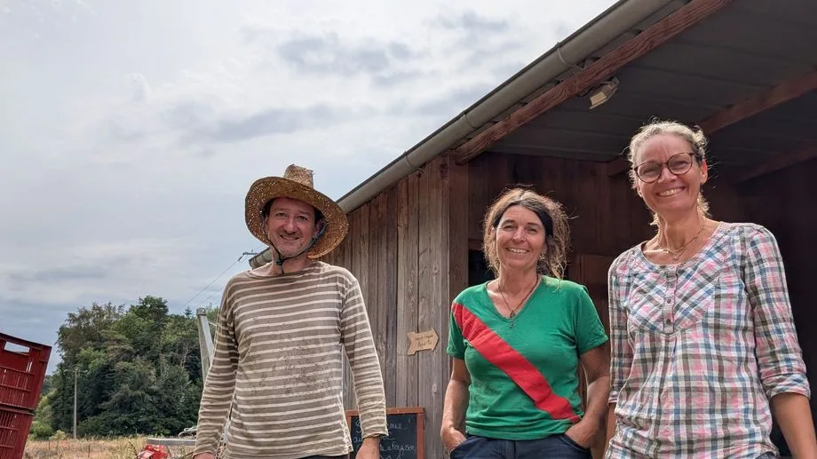 "Cinq fois plus d'appels que d'habitude" : en Bretagne, face à la sécheresse, les appels aux société de forage explosent