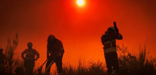 Studie zu verbrannten Waldflächen: Europas Feuerprobe