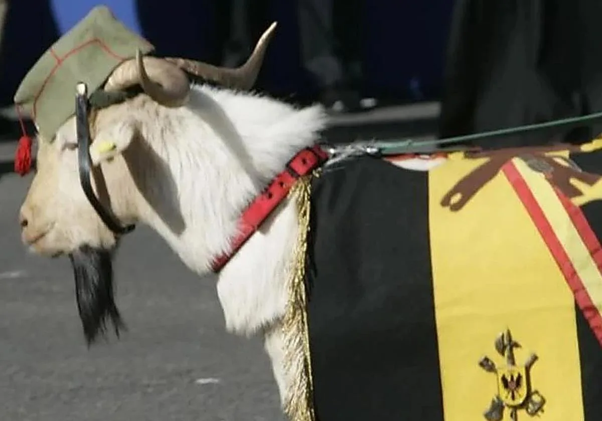 ¿Por qué la cabra es la mascota de la Legión y aparece en el desfile de las Fuerzas Armadas?