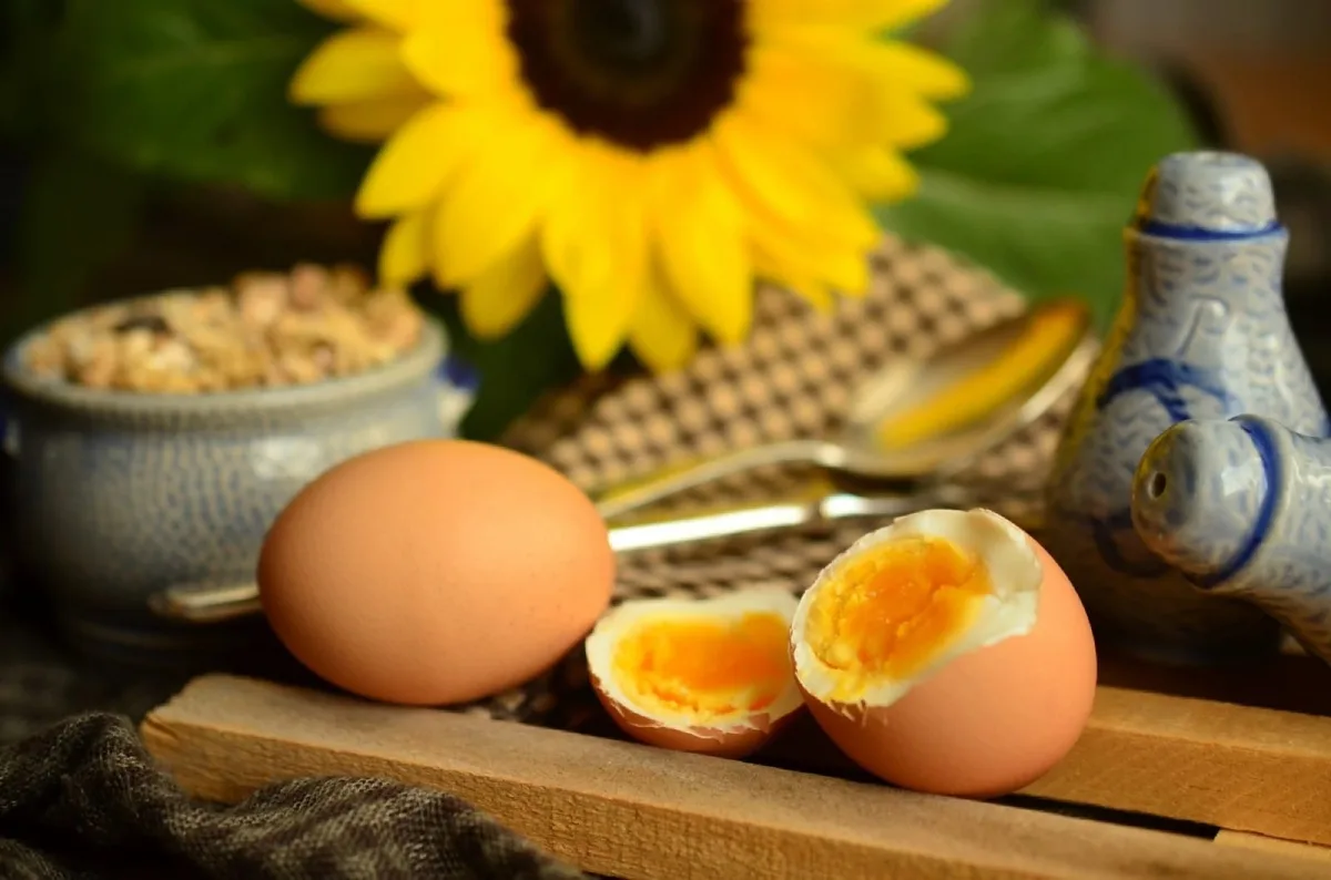 Huevo cocido: beneficios, propiedades y motivos para sumarlo en el día a día