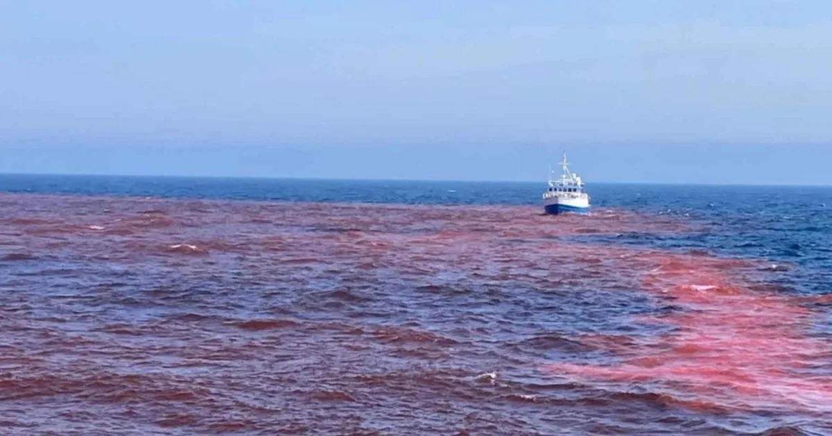 Los investigadores vertieron 60 mil litros de hidróxido de sodio en el océano cerca de Cape Cod, el primer ensayo de este tipo autorizado, y un marcador de tinte siguió la mancha durante cinco días