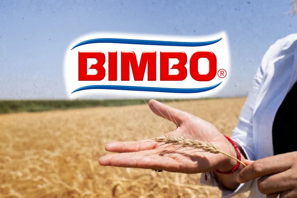 Bimbo ya cultiva ingredientes en 500,000 hectáreas con agricultura regenerativa: quiere que toda su materia prima use este modelo