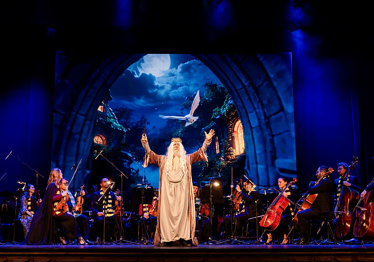 El universo de Harry Potter llega al Roig Arena con un concierto sinfónico