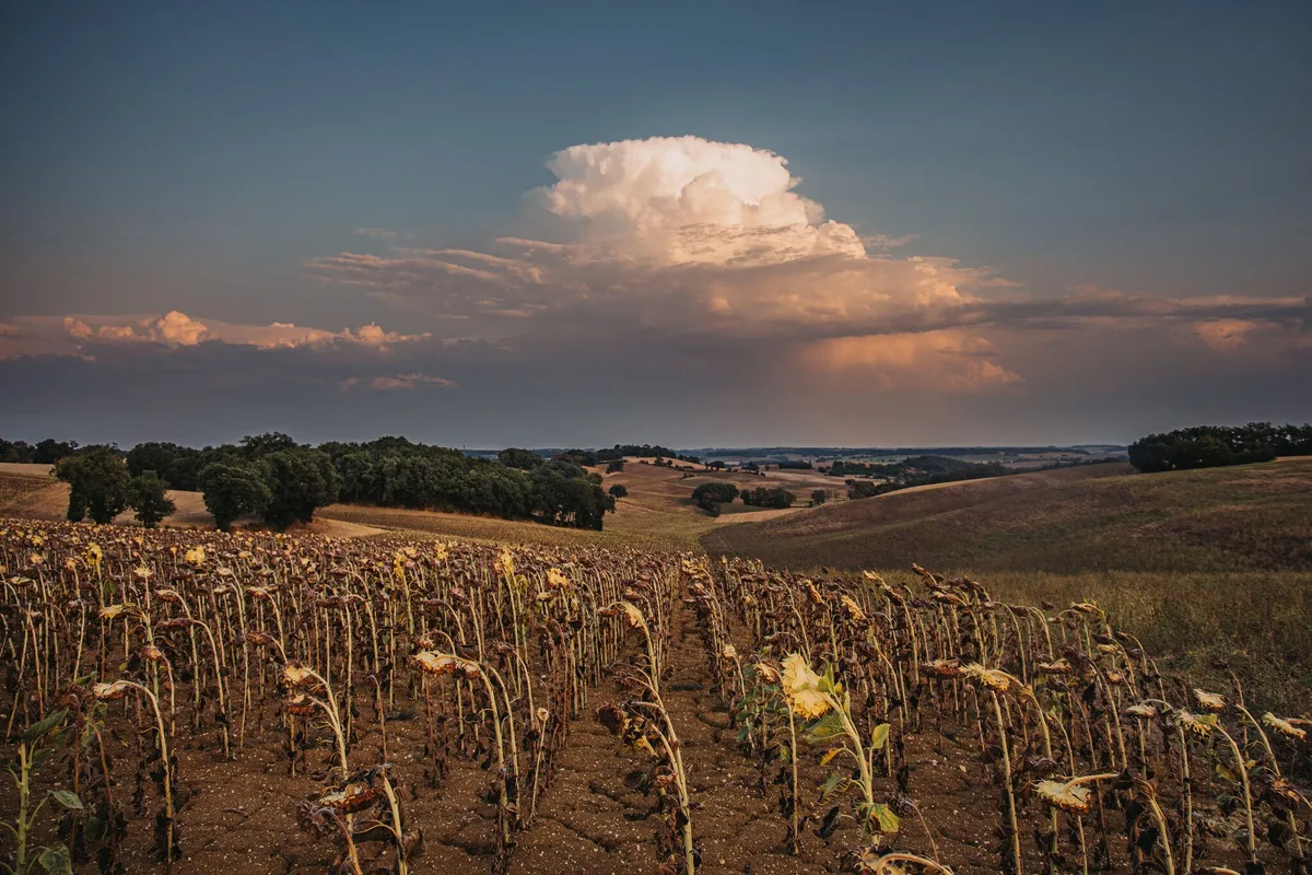 Météo : pourquoi la fin d’une canicule s’accompagne souvent d’orages violents