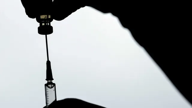 Mais de um milhão de doses contra febre aftosa chegam a Moçambique