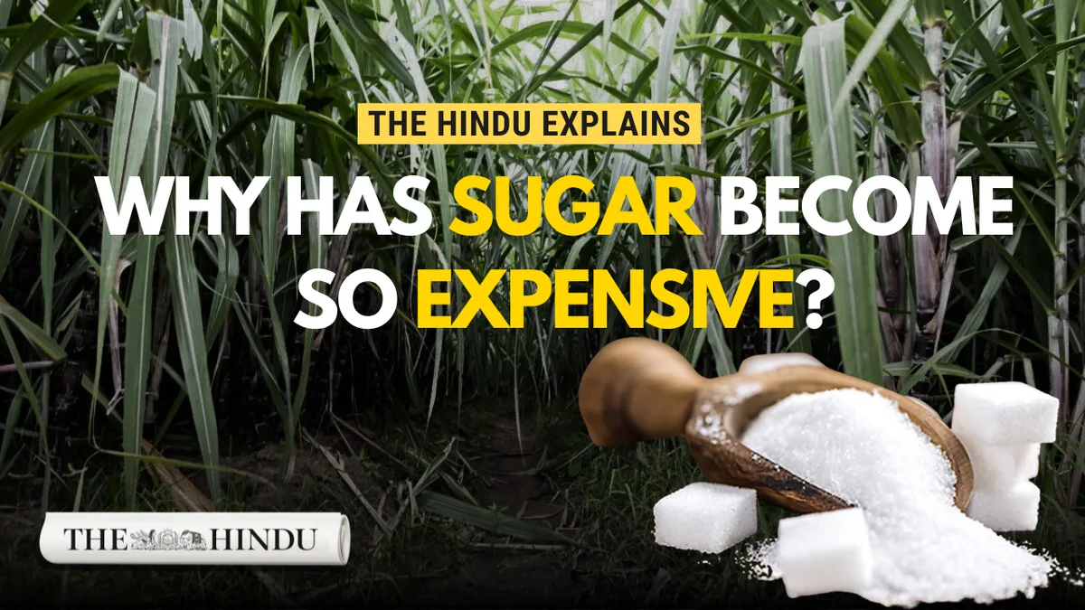Watch: Why has sugar become so expensive?