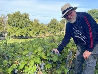 Réchauffement climatique : des bénévoles recherchés pour vendanger à La Flèche, plus tôt que prévu
