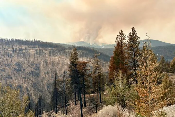 More Summerland residents allowed home as Bald Range fire grows to 24,000 hectares