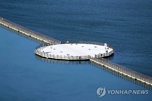 '시민 위한 철거' vs '시민 빠진 결정'…속초 영랑호 부교 공방