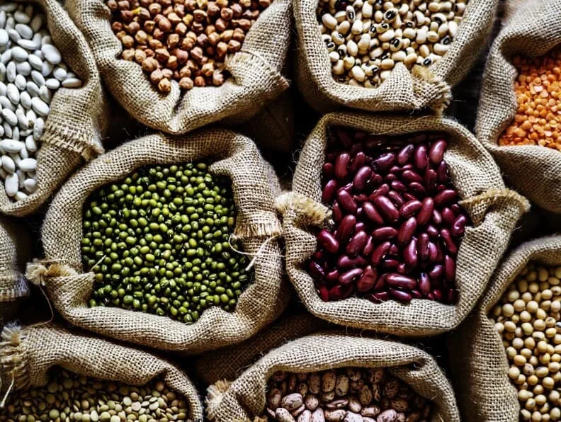 Nova lei amplia acesso de pequenos criadores a alimentos para animais