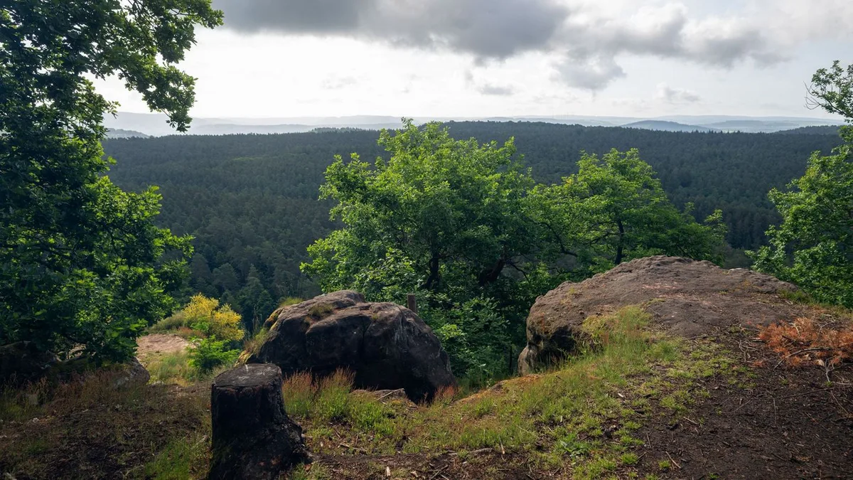 Wettervorhersage: Wolken und Schauer in Rheinland-Pfalz und im Saarland