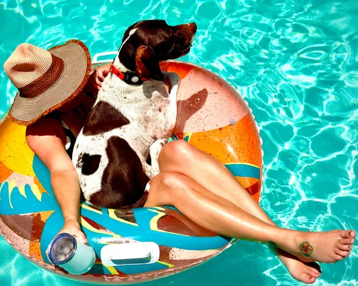 ‘The angle of the dog, the hat and the tattoo on her foot all come together’: Trace Meek’s best phone picture