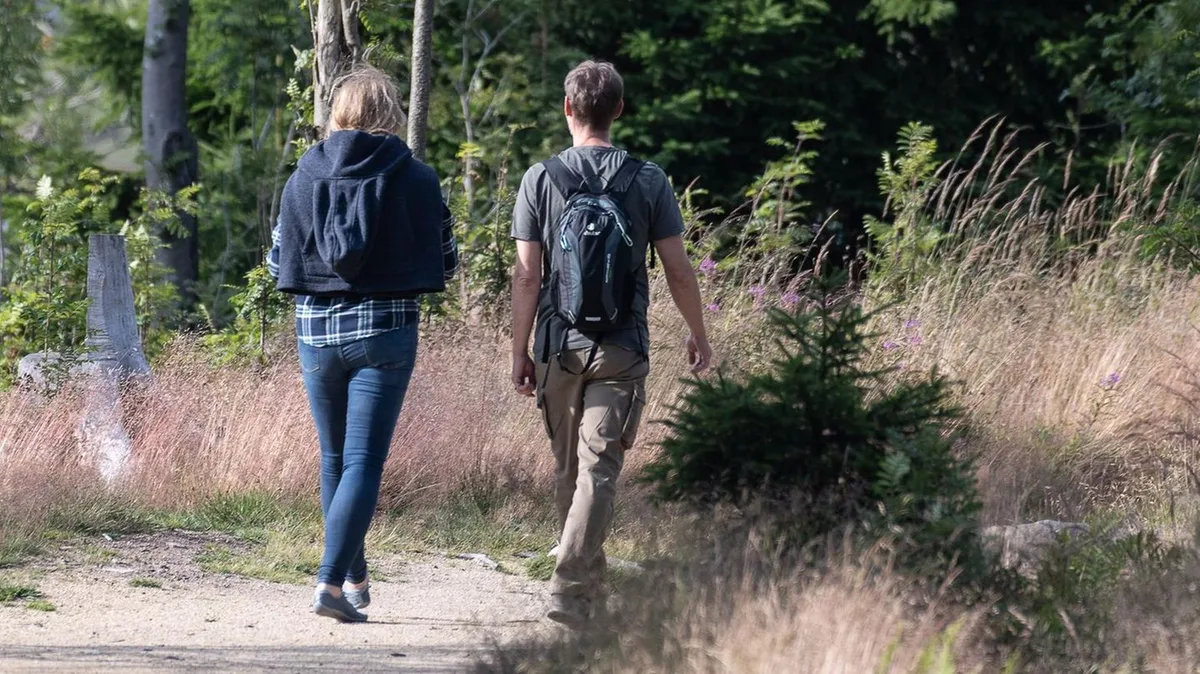 Wandern: Warum Bären-Glöckchen die Tiere anlocken statt sie zu vertreiben