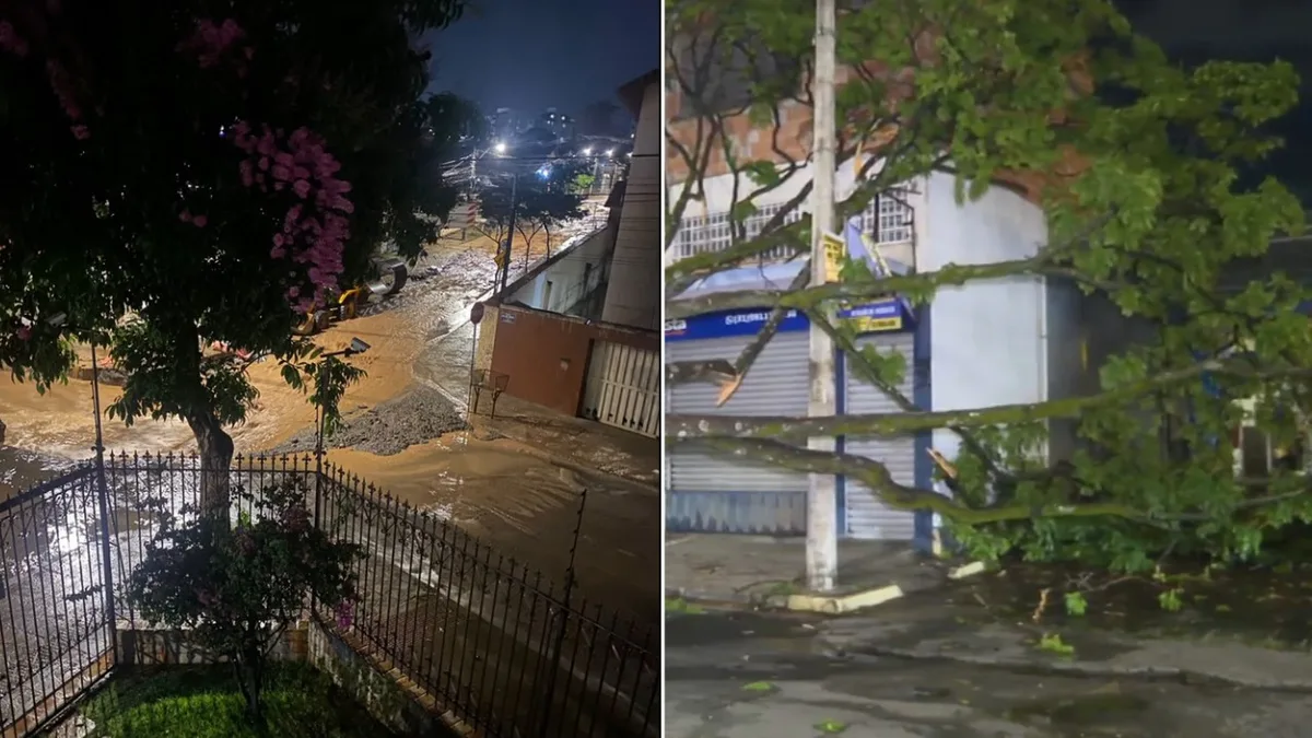 Chuva forte causa queda de árvores e alagamento em BH