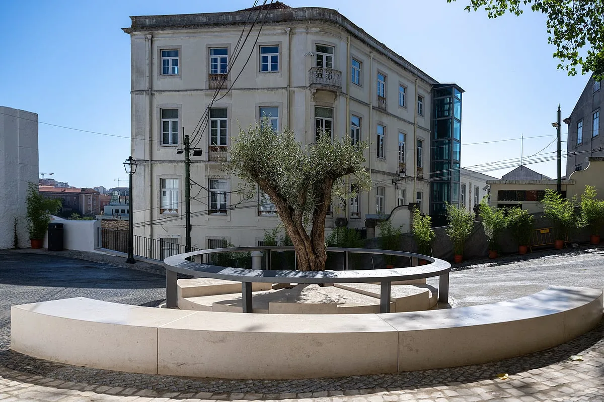 Acidente do Elevador da Glória: Memorial às vítimas será inaugurado esta quinta-feira