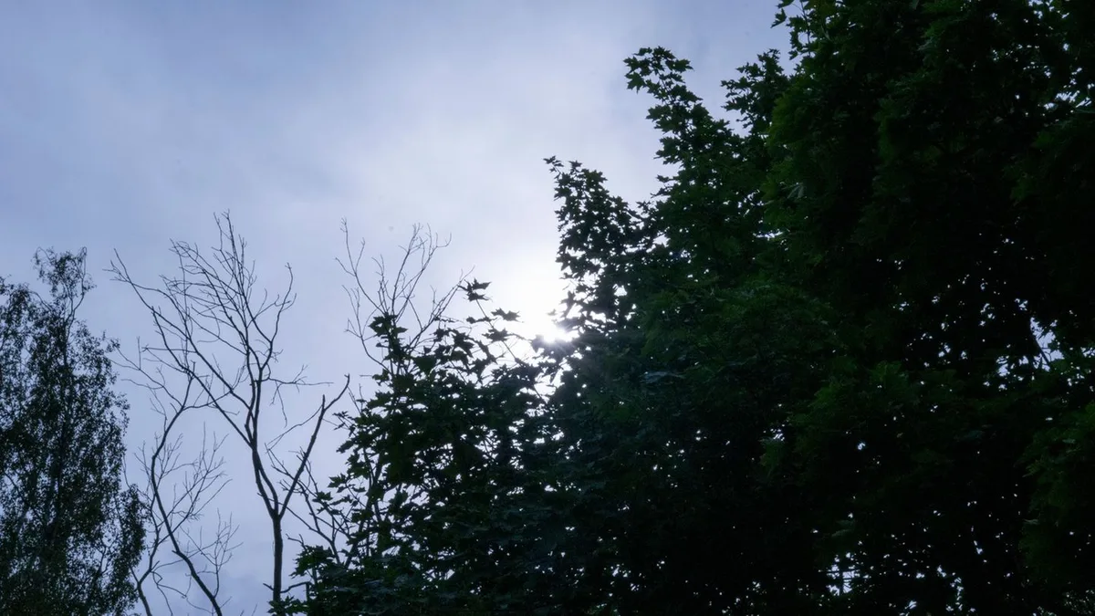 Wetteraussichten: Neue Woche mit sonnigen Aussichten
