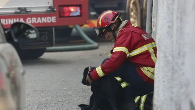 Bombeiros feridos em Arouca que continuam internados estão a melhorar
