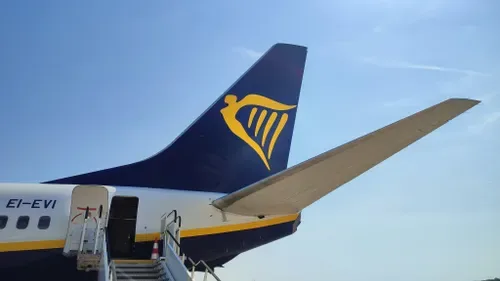 Stubborn vulture plucked from Ryanair wing before Greece flight