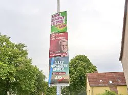 CDU verliert in Umfrage: AfD in Sachsen-Anhalt baut ihren Vorsprung aus