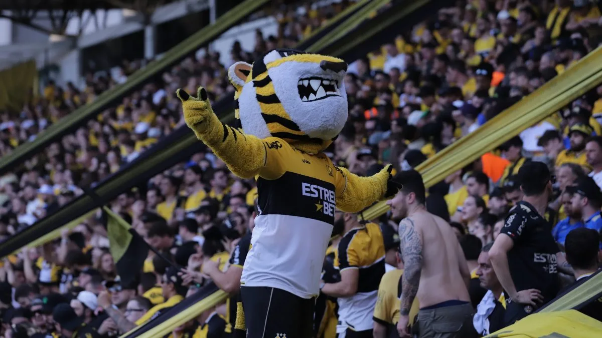 Botafogo-SP x Criciúma: onde assistir, horário e detalhes sobre a partida