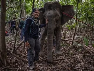 Comment cette femme est devenue la « gardienne » des derniers éléphants sauvages de Bornéo