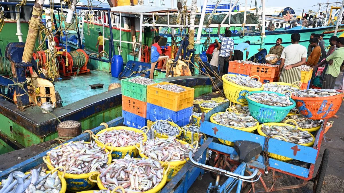 When Chennai’s sea food edged out catch from rivers, estuaries in the city