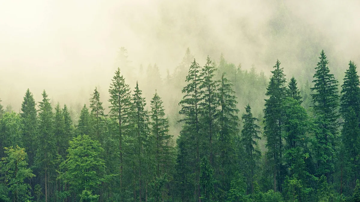 La naturaleza también es infraestructura